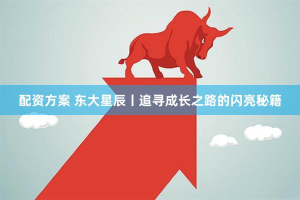 配资方案 东大星辰丨追寻成长之路的闪亮秘籍