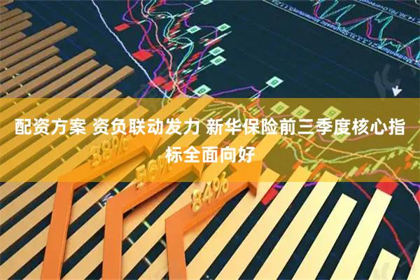 配资方案 资负联动发力 新华保险前三季度核心指标全面向好