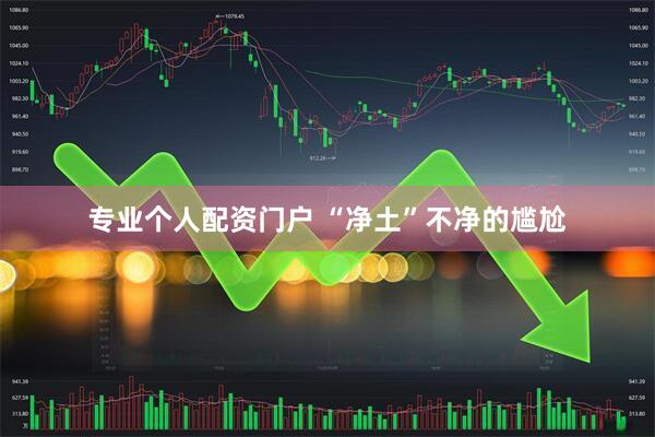 专业个人配资门户 “净土”不净的尴尬