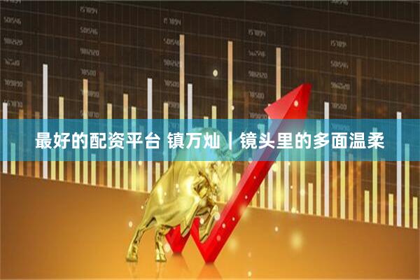 最好的配资平台 镇万灿｜镜头里的多面温柔